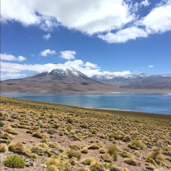 Meet your Posher, Heather - Picture 1 of 1